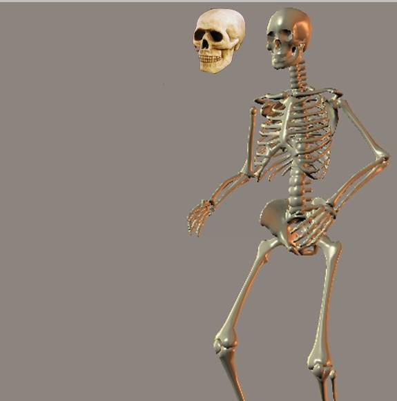 Creation of The Skeleton : Step 1